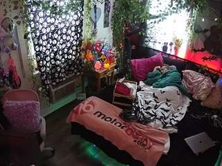 voyeurcam veccasalt 01