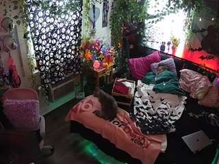 voyeurcam-veccasalt-01