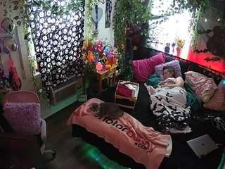 voyeurcam-veccasalt-01