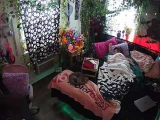 voyeurcam-veccasalt-01