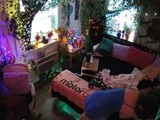 voyeurcam-veccasalt-01