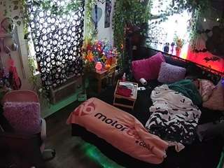 voyeurcam-veccasalt-01