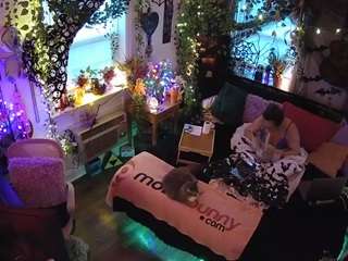 voyeurcam-veccasalt-01