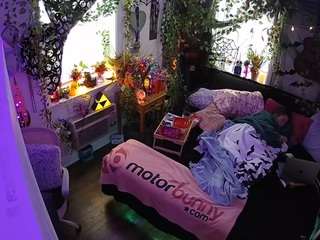 voyeurcam-veccasalt-01