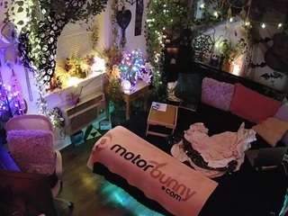 voyeurcam-veccasalt-01