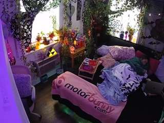 voyeurcam-veccasalt-01 camsoda