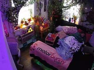 voyeurcam-veccasalt-01