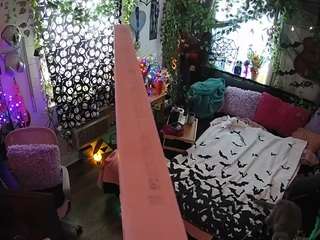 voyeurcam-veccasalt-01