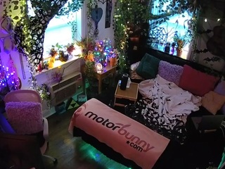 voyeurcam-veccasalt-01