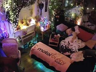 voyeurcam veccasalt 01