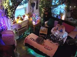 voyeurcam veccasalt 01