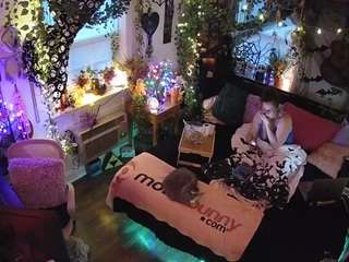 voyeurcam-veccas... Live Webcam on CamSoda