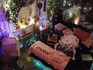 voyeurcam-veccasalt-01