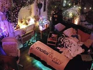 voyeurcam-veccasalt-01