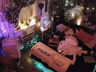 voyeurcam-veccasalt-01