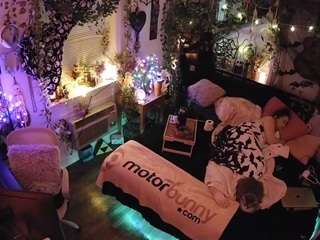 voyeurcam-veccasalt-01