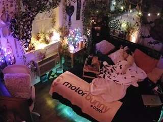 voyeurcam-veccasalt-01