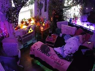 voyeurcam-veccasalt-01