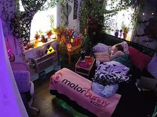 voyeurcam-veccasalt-01