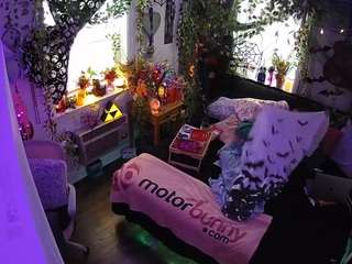 voyeurcam veccasalt 01