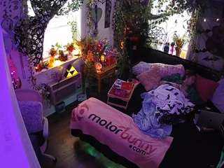 voyeurcam veccasalt 01