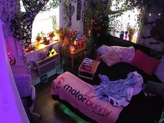 voyeurcam-veccasalt-01