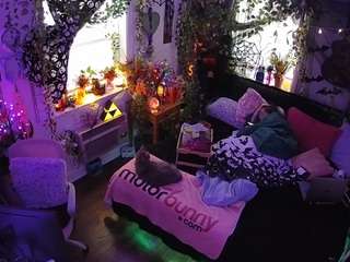 voyeurcam-veccasalt-01