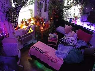 voyeurcam-veccasalt-01