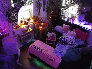 voyeurcam veccasalt 01