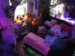 voyeurcam veccasalt 01