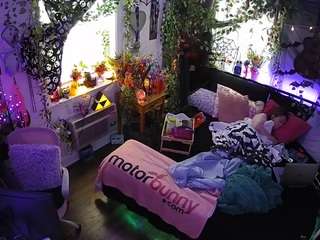 voyeurcam veccasalt 01