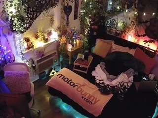 voyeurcam veccasalt 01