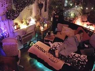 voyeurcam veccasalt 01