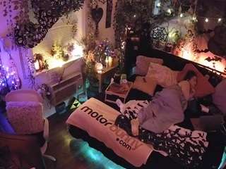 voyeurcam veccasalt 01