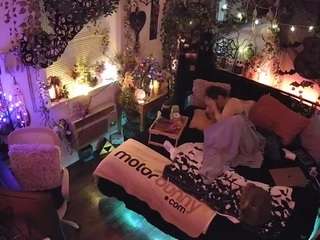 voyeurcam veccasalt 01