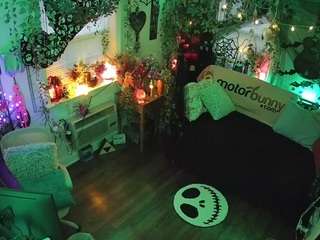 voyeurcam-veccasalt-01