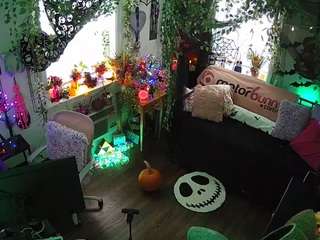 voyeurcam-veccasalt-01