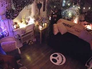 voyeurcam-veccasalt-01