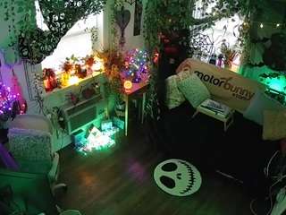 voyeurcam veccasalt 01