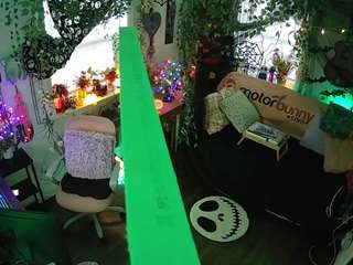 voyeurcam veccasalt 01