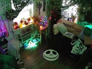 voyeurcam veccasalt 01