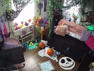 voyeurcam-veccasalt-01