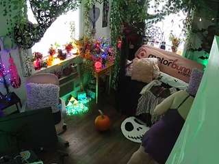 voyeurcam veccasalt 01