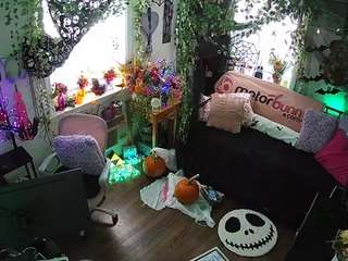 voyeurcam veccasalt 01