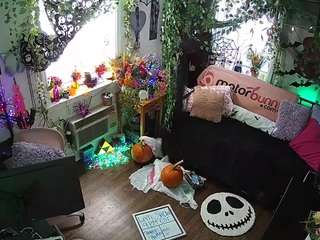 voyeurcam veccasalt 01