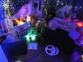 voyeurcam veccasalt 01