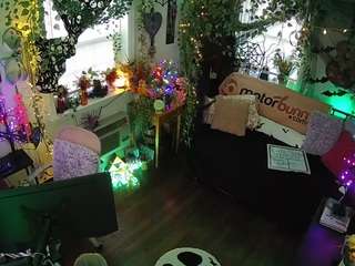 voyeurcam veccasalt 01