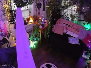 voyeurcam-veccasalt-01