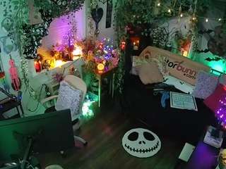 voyeurcam veccasalt 01