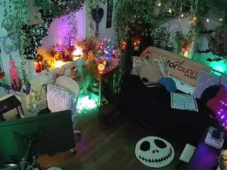 voyeurcam veccasalt 01